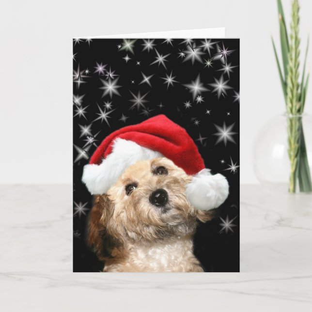 Tarjeta Festiva Starry Santa dog (Anverso)
