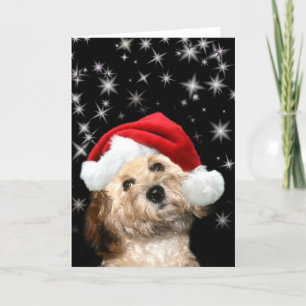 Tarjeta Festiva Starry Santa dog
