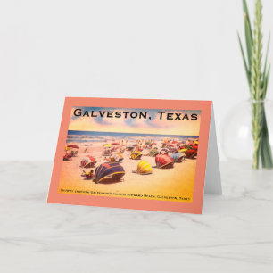 Tarjeta Festiva Steward Beach, Galveston, Texas