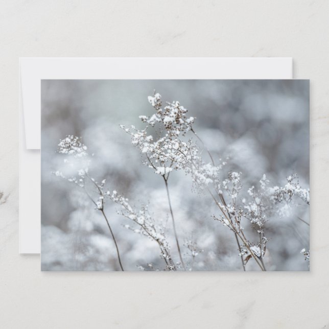 Tarjeta Festiva Suavidad de invierno, nevado (Anverso)
