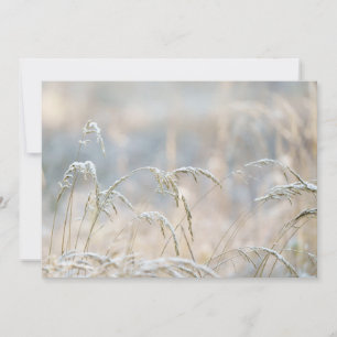 Tarjeta Festiva Suavidad de invierno, primera nieve