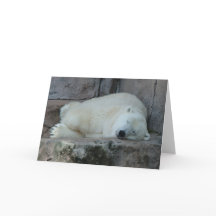Sueño con icebergs