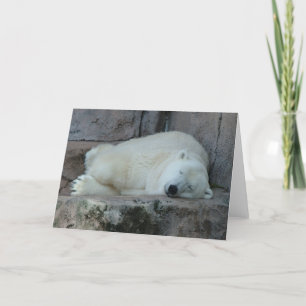Tarjeta Festiva Sueño con icebergs