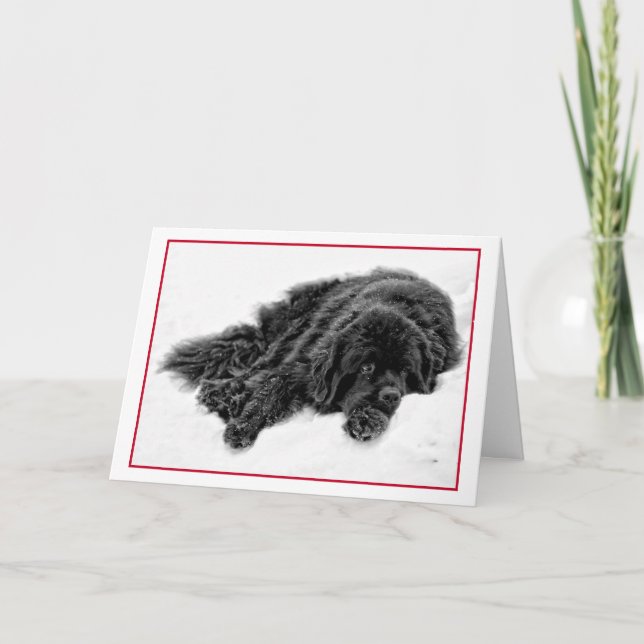 Tarjeta Festiva Sueños del invierno (Anverso)
