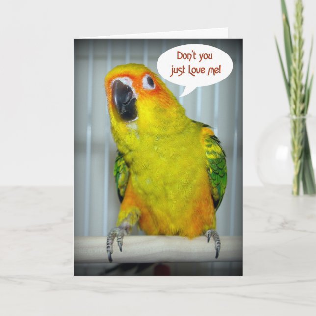 Tarjeta Festiva Sun Conure Love (Anverso)