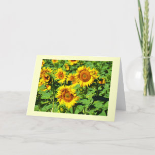 Tarjeta Festiva Sunflower