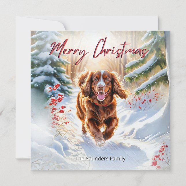 Tarjeta Festiva Súper Sexo Español En Invierno De Nieve Feliz Navi (Anverso)
