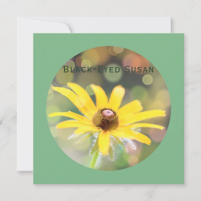 Tarjeta Festiva Susan de ojos negros flor sobre el verde del mar o