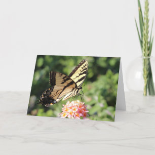 Tarjeta Festiva Swallowtail del este del tigre