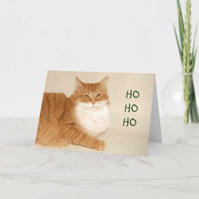 Tarjeta Festiva Tabby anaranjado Santa (Anverso)