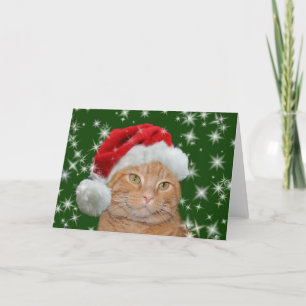 Tarjeta Festiva Tabby anaranjado Santa