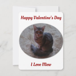 Tarjeta Festiva Tabby Cat masticar foto que amo a Mew Valentines