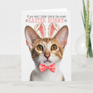 Tarjeta Festiva Tabby Oriental Cat Cutest Easter Bunny Kitty Punts