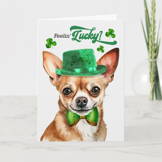 Tarjeta Festiva Tan Chihuahua Dog Feelin' afortunado Día de San Pa (Anverso)