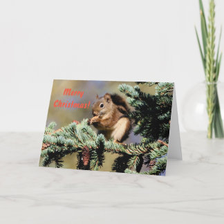 Tarjeta Festiva Tarjeta/ardilla roja/navidad
