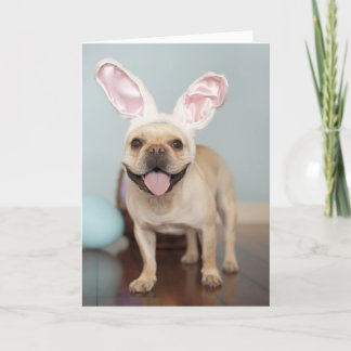 Tarjeta Festiva ¡Tarjeta de pascua del bulldog francés!