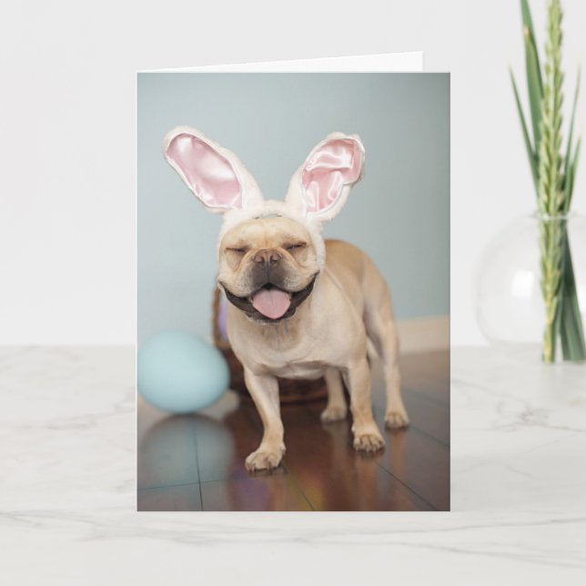 Tarjeta Festiva ¡Tarjeta de pascua del bulldog francés! (Anverso)