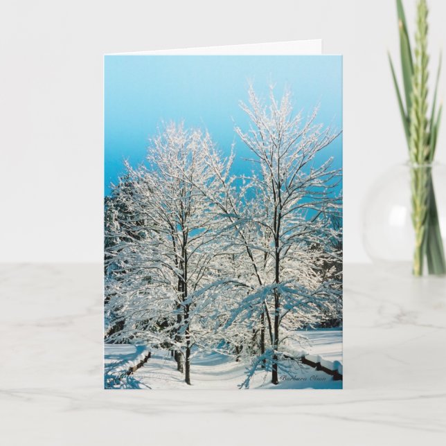 Tarjeta Festiva ***Tarjeta de vacaciones: Naturaleza llena de divi (Anverso)