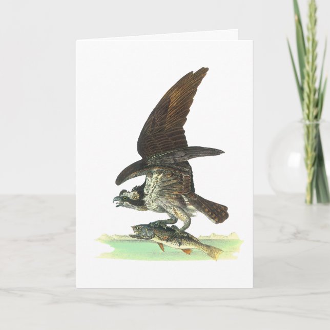 Tarjeta Festiva Tarjeta: Osprey - John Audubon (Anverso)