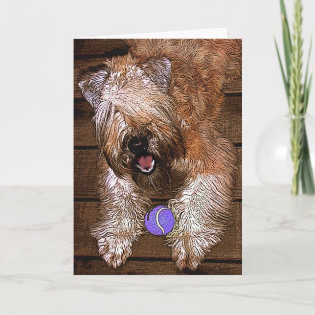 Tarjeta Festiva Tarjeta: ¿"Quiera jugar? " (Anverso)