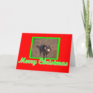 Tarjeta Festiva Tassie Devil