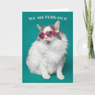 Tarjeta Festiva Te amo eres un gato perfecto con gafas de sol