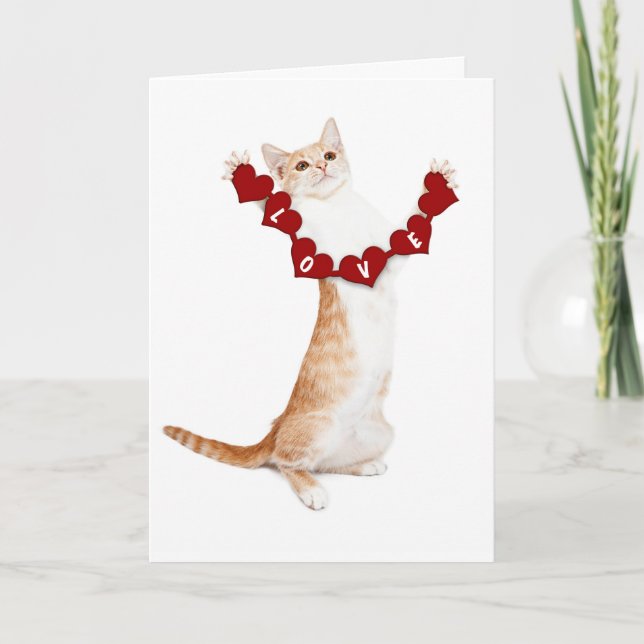 Tarjeta Festiva Te amo esta gran carta con gatito (Anverso)