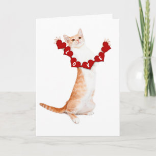 Tarjeta Festiva Te amo esta gran carta con gatito