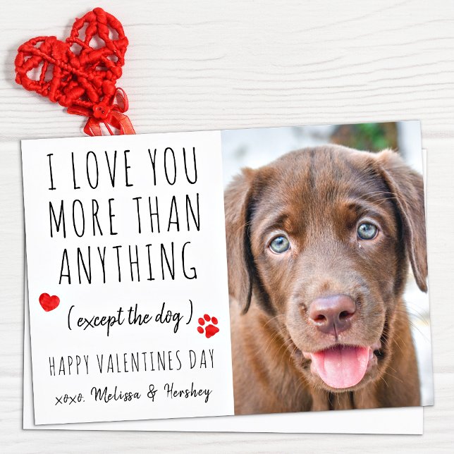 Tarjeta Festiva Te encanta el Mascota de Perro divertido Lover Día (Subido por el creador)