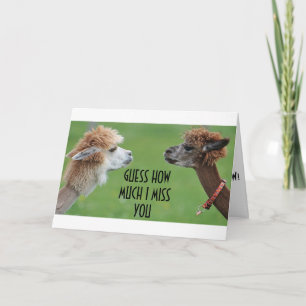 TARJETA FESTIVA ¡TE EXTRAÑO LO SUFICIENTE COMO PARA ENVIARTE UN MI