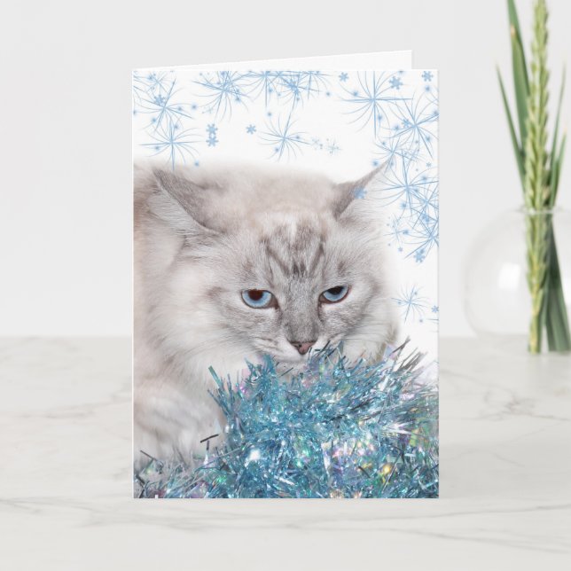 Tarjeta Festiva Te faltan Navidades de gatitos (Anverso)