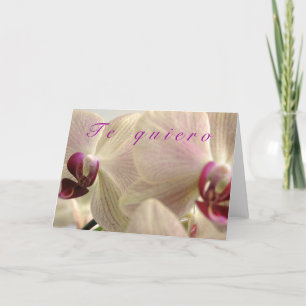 Tarjeta Festiva "Te quiero"