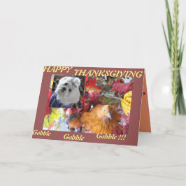 Tarjeta Festiva Temporadas maltesas abandonan el diseño