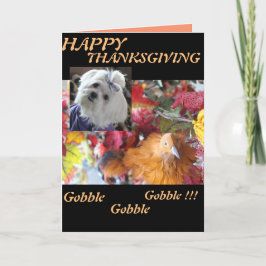 Tarjeta Festiva Temporadas maltesas abandonan el diseño