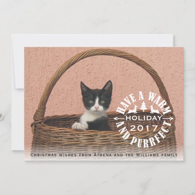 Tarjeta Festiva Tener Navidades de gatos de vacaciones calientes y (Anverso)