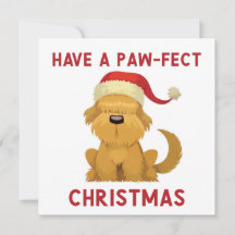 Tener Navidades del Paw Fest // Navidades de Perro