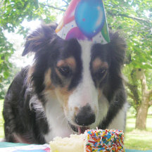 "¡Tener tu pastel y comerlo también!"