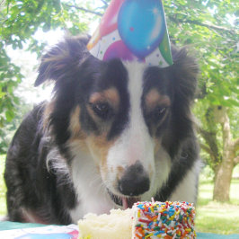 Tarjeta Festiva "¡Tener tu pastel y comerlo también!"
