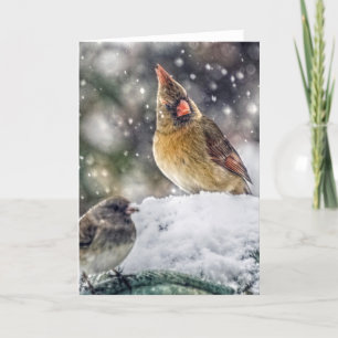 Tarjeta Festiva Tengo mi ojo en usted