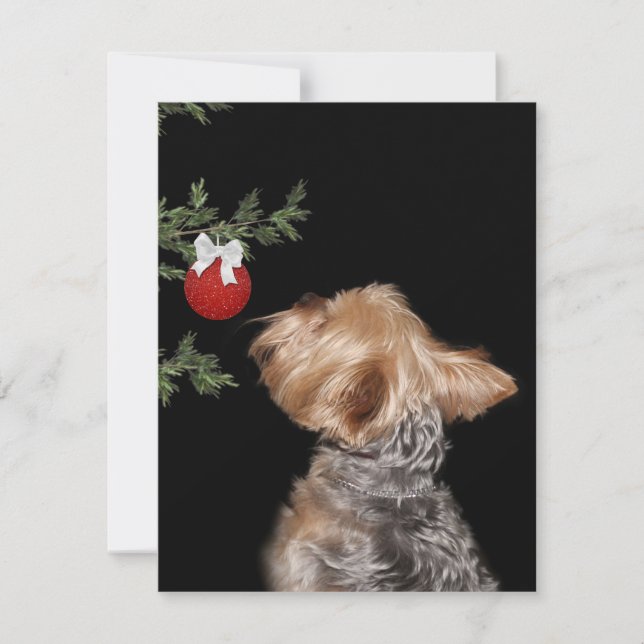 Tarjeta Festiva Tentación de los Navidades yorkie (Anverso)