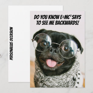 Tarjeta Festiva Teoría divertida del animal perro pug chino lindo 