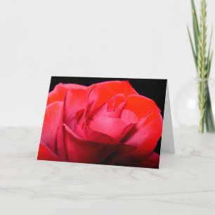 Tarjeta Festiva Terciopelo Rojo, S Cyr