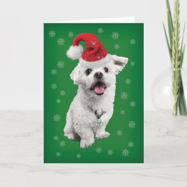 Tarjeta Festiva Terrier maltés lindo con Navidades de Santa Hat (Anverso)