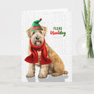 Tarjeta Festiva Terrier Trigo Perro Divertidas Pulgas Navidog Navi