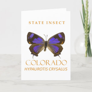 Tarjeta Festiva Territorio Colorado Insecta La Mariposa De La Esca