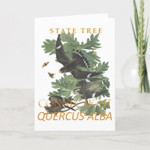 Tarjeta Festiva Territorio de Connecticut Árbol El Roble del Estat