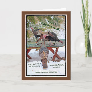 Tarjeta Festiva Thanksgiving Trio of Turkeys Card - Blessings
