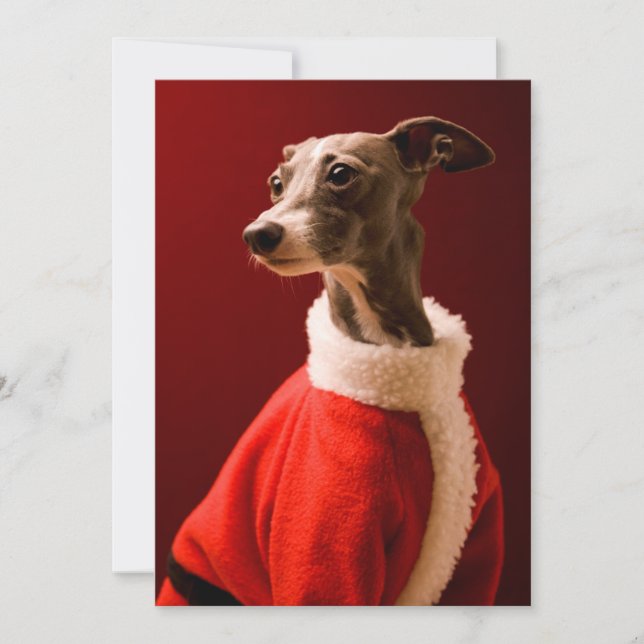 Tarjeta Festiva The dog wears Father Christmas's clothes (Anverso)