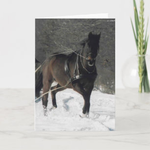 Tarjeta Festiva Thomas en la nieve