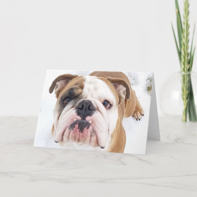 Tarjeta Festiva Thor The Bulldog Greeting Card (Anverso)